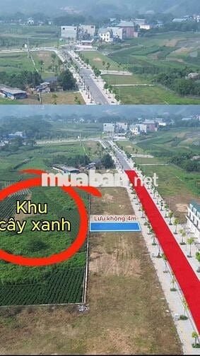 Bán đất nền dự án Hoàng nông Shophouse