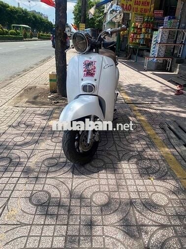 xe 50 Cho các bé học sinh người lớn tuổi