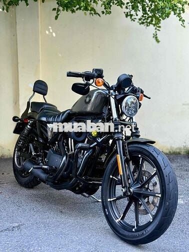 Harley Davidson Iron 883 2019