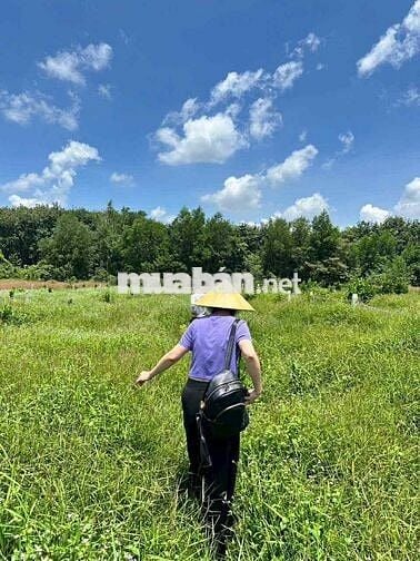 1230m2 đất view suối ngay tuyến đường tạo lực 65m, giá ngộp 390tr
