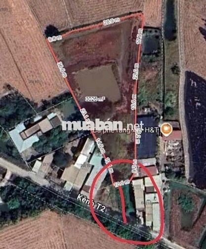 Bán 3100m2 đất Hưng Long - Bình Chánh - 5,3 Tye