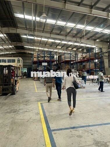 Bán gấp 2 kho xưởng DT: 8.000m² trong KCN Hòa Bình , Thủ Thừa, Long An