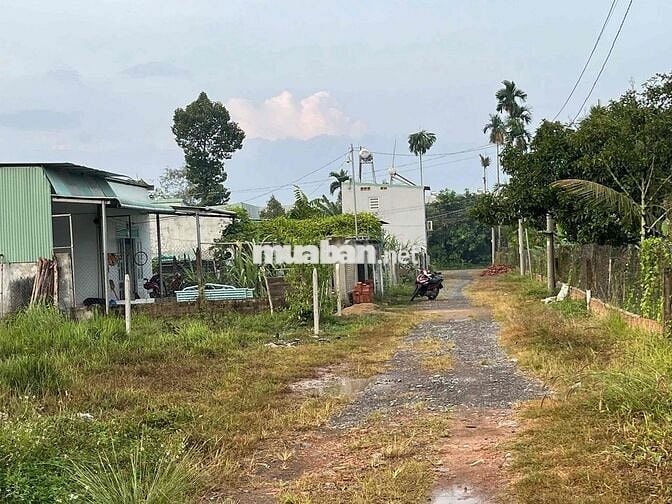chính chủ bán đất phường Tam Phước, Biên Hoà, Đồng Nai