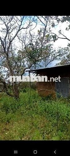 có nhà điện nước đầy đủ sau có suôi  đường đất 8m thông xắp lên nhưa