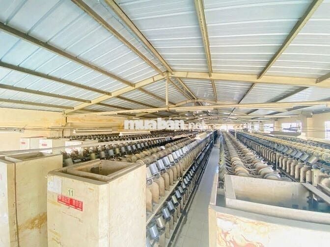 Cho thuê kho xưởng 2.400m² , Quận 12 – Đường container, PCCC đạt chuẩn