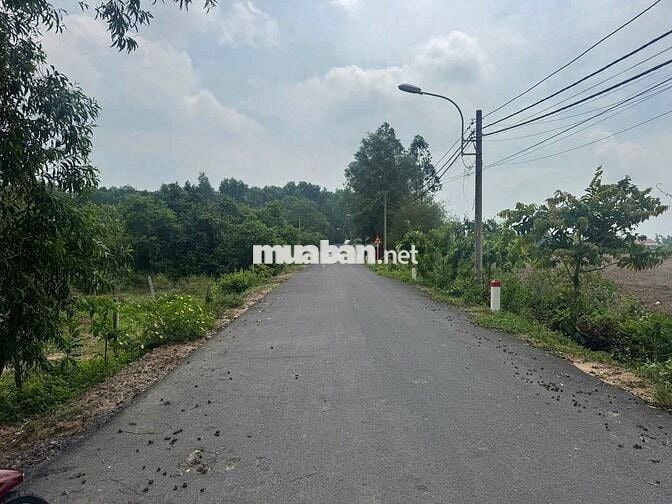 Đất full thổ cư 104m2 Phước Hiệp Củ Chi giá tốt nhiều ưu đãi