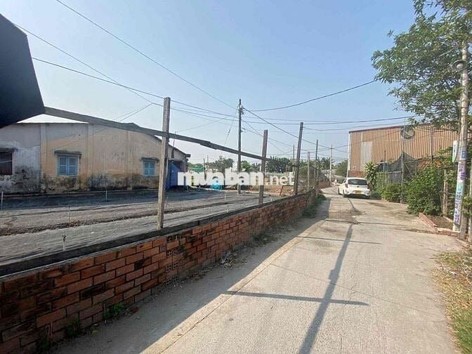 đất 1300m2 thổ cư 300m 1/ trịnh thị miếng hxh giá 14,9tỷ tl