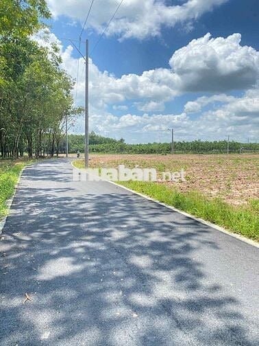 Ngộp tài chính cần bán lô đất thổ cư 200m2 Dầu Tiếng, giá ngộp 199tr