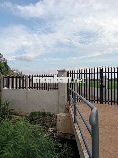 Cần Bán Đất 1550m2 - 10 tỷ Đường Trương Văn Đa Bình Chánh