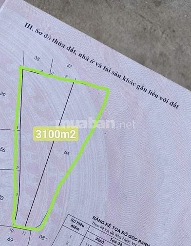 Bán 3100m2 đất nông nghiệp đường ô tô gần Nguyễn Văn Linh + QL1A