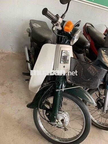 cub 81 đẹp 50cc
