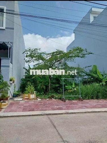 Bán đất 750 Triệu, MTĐ Nguyễn Trọng Thế, Đức Hoà, Hậu Nghĩa, Long An,