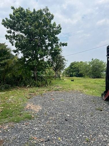 Đất vườn mặt tiền Sông Sài Gòn chính chủ 10000m2 cần bán gấp.