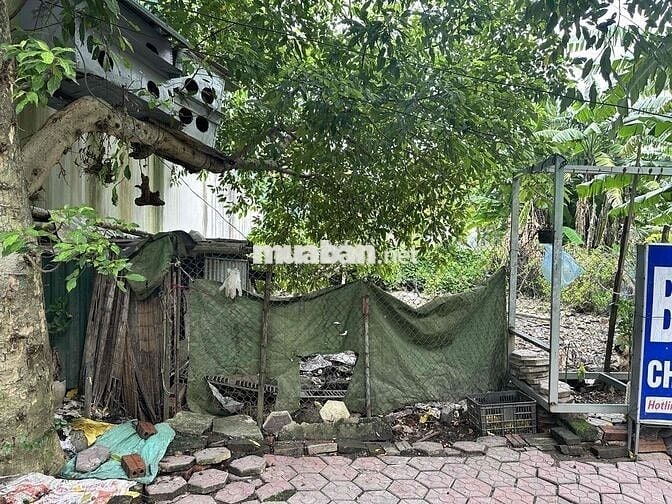 Bán đất Minh Đức, TX Mỹ Hào, Hưng Yên 80m, giá 3.5 tỷ. Hai mặt ngõ