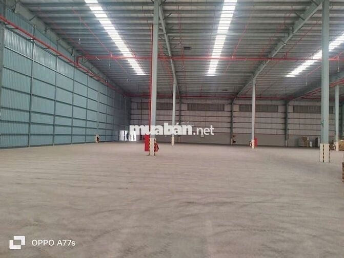 Cho thuê Kho KV: 5.000m2 Bình Tân, đường container, giá 100K/m2