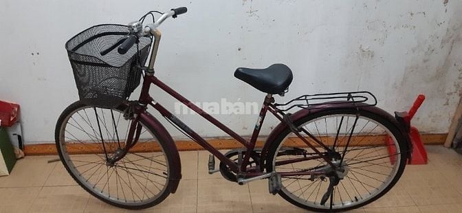 Xe đạp Martin vành nhôm 26 đang sử dụng