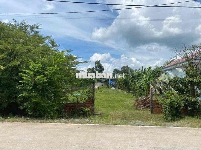 (37)💼 BÁN GẤP LÔ ĐẤT 460M² – ĐƯỜNG NGUYỄN THỊ CHUỖI, ẤP MÂY ĐẮNG, PHƯỚ
