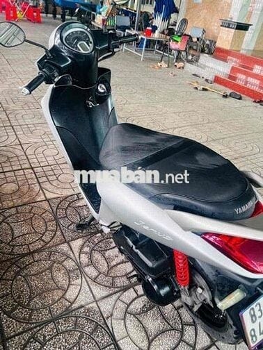 janus 2020 chính chủ