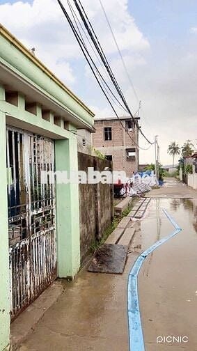 Bán lô 101m sát dự án Hoàng Huy giá cực sốc chỉ 3,1x tỷ.