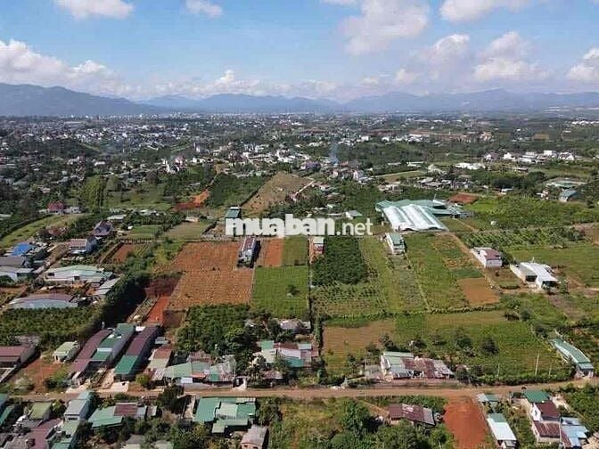 Hai nền đất tại phường 2 Bảo Lộc 200m2 sổ hồng sẵn 9 chủ sang tên ngay