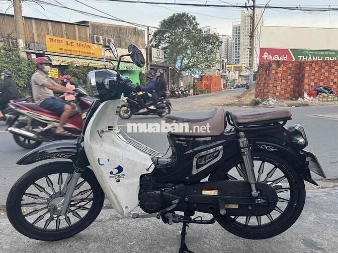 cúp 50cc