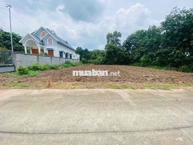 Chú 6 bán gấp loi đất ngay UBNN An Linh Phú Giáo giá 480tr buông sổ