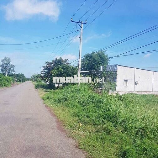 Bán đất đường nhựa trục chính sông xoài hắc dịch,dt:28x105 giá 5.2ty