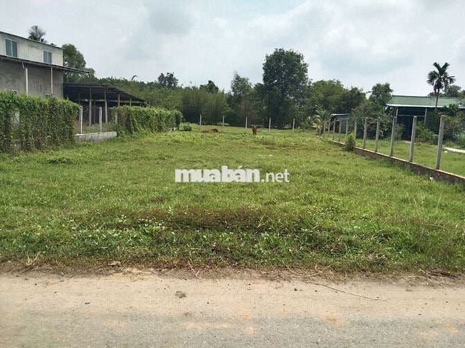 CẦN TIỀN GẤP, BÁN LÔ ĐẤT 523M2, TRUNG LẬP HẠ, 500TR