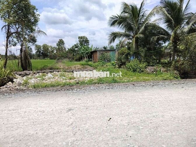 Đất 1000m2 mặt tiền 5 chiến hựu thạnh