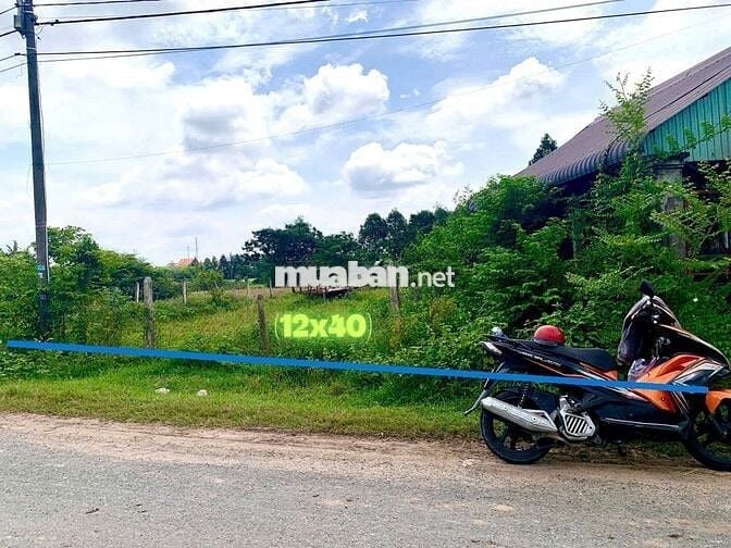 Chú tư bán lô đất 500m2 giá chỉ 750tr nằm ngay chợ Phước Thạnh Củ Chi