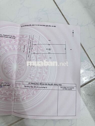 đất thổ cư cây cẩm phong điền chính chủ