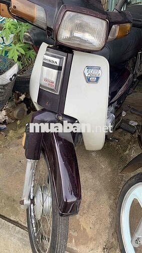 Dream 50cc phù hợp cho học sinh ☘️