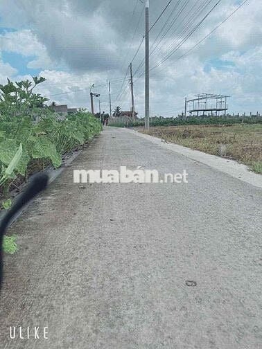 dt: 5*25 , giá :490tr , lạc tấn - tân trụ - long an , sổ hồng riêng