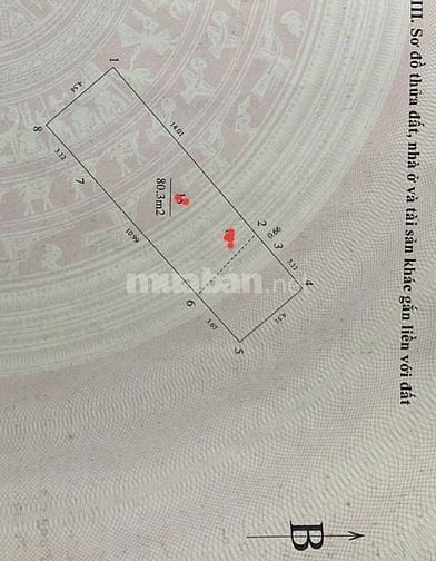 PHÂN LÔ QUÂN ĐỘI Ô TÔ TRÁNH, GẦN TÒA CC ARTEMIS LÊ TRỌNG TẤN - TX