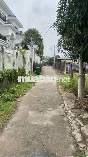 Bán gấp đất ngộp ngân hàng, 3.515m² full thổ cư (31x96),đã tách 3 sổ