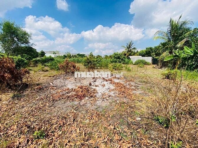 5 x 20 = 100m² (full thổ cư) 560 TRIỆU