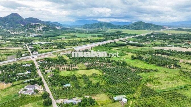 GIẢM GIÁ CỰC SỐC! 500M2 ĐẤT THỔ  MẶT TIỀN ĐƯỜNG OTO- DIÊN KHÁNH.
