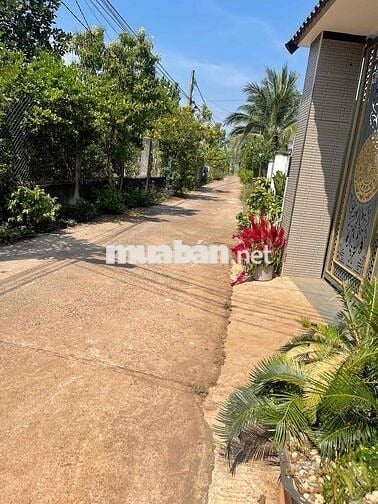Đâấ sổ hồng thổ cư cách quốc lộ 1 a 400m dân cư đông bán gấp