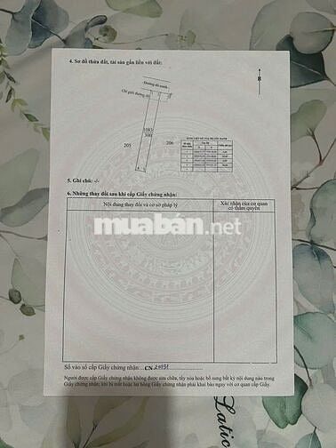CẦN BÁN GẤP LÔ ĐÁT 300 M THỔ -LH NGAY VÀO VIỆC