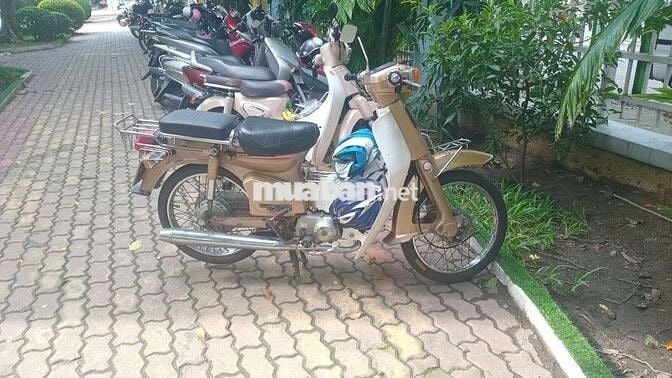 Honda Cub 50 có đề BSTP 9 chủ