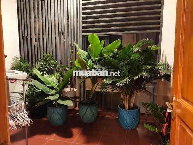 SIÊU PHẨM NGAY CMT8 HXH GẦN BV THỐNG NHẤT  GIÁ CHỈ HƠN 9 Tỷ