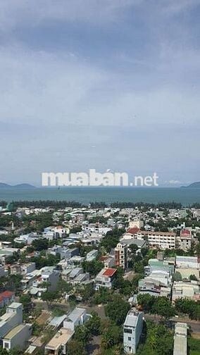 Giá Trên Chưa Bao Gồm Thuế , Phí Liên Quan