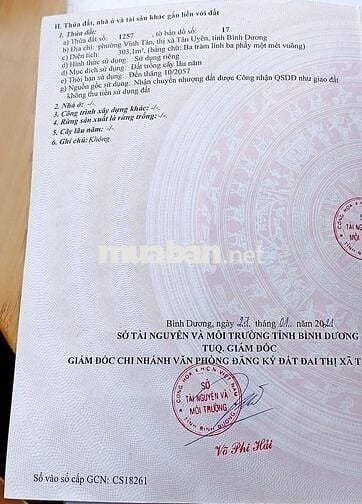 Đất 300m- Vĩnh Tân- Tân uyên- Bình Dương