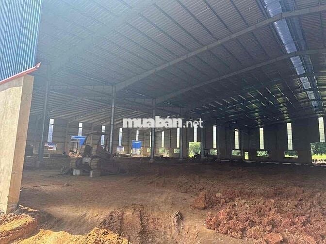 Cho thuê nhà xưởng 7364 m2 Mới 100% Tân Uyên - Bình Dương