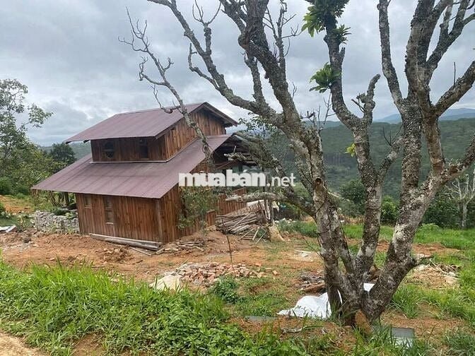 Bán gấp mảnh đất Xuân Trường DL diện tích 1200m2 giá 650tr tặng nhà gỗ