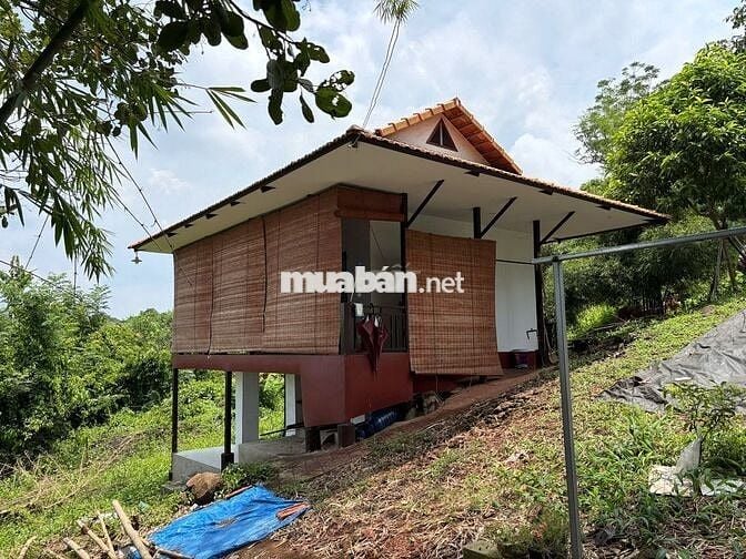 Đất view cực kỳ đẹp, diện tích lên đến 1190m² tại Định Quán giáp suối