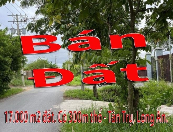 Cần Bán 17.000 m2 đất. Có 300m thổ - Quê Mỹ Thạnh, Tân Trụ, Long An. 