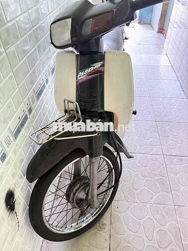 Dream lùn thái 99 biển sài gòn