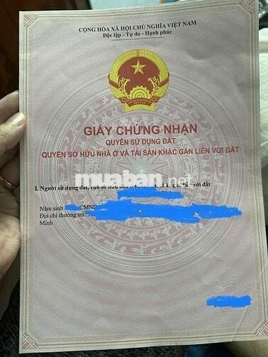 Chính chủ đất trồng cây lâu năm mặt tiền đường Hùng Vương, Nhơn Trạch,