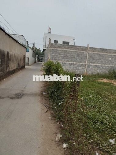 Bán đất xã Phú Mỹ, Tân Phước, Tiền Giang (Xã Hưng Thạnh-Đồng Tháp)